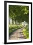 Tree Lined Country Lane, Dorset, England. Summer (July)-Adam Burton-Framed Photographic Print