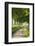 Tree Lined Country Lane, Dorset, England. Summer (July)-Adam Burton-Framed Photographic Print