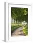 Tree Lined Country Lane, Dorset, England. Summer (July)-Adam Burton-Framed Photographic Print