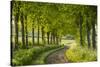 Tree Lined Country Lane in Rural Dorset, England. Spring (May)-Adam Burton-Stretched Canvas