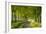 Tree Lined Country Lane in Rural Dorset, England. Spring (May)-Adam Burton-Framed Photographic Print