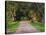 Tree Lined Country Road at Sunset, Montevideo, Uruguay-Per Karlsson-Stretched Canvas