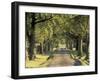 Tree-Lined Driveway, Bluegrass Region, Lexington, Kentucky, USA-Adam Jones-Framed Premium Photographic Print