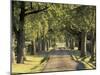 Tree-Lined Driveway, Bluegrass Region, Lexington, Kentucky, USA-Adam Jones-Mounted Premium Photographic Print