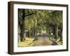 Tree-Lined Driveway, Bluegrass Region, Lexington, Kentucky, USA-Adam Jones-Framed Photographic Print