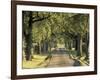 Tree-Lined Driveway, Bluegrass Region, Lexington, Kentucky, USA-Adam Jones-Framed Photographic Print