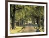Tree-Lined Driveway, Bluegrass Region, Lexington, Kentucky, USA-Adam Jones-Framed Photographic Print