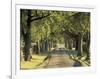 Tree-Lined Driveway, Bluegrass Region, Lexington, Kentucky, USA-Adam Jones-Framed Photographic Print