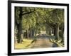 Tree-Lined Driveway, Bluegrass Region, Lexington, Kentucky, USA-Adam Jones-Framed Photographic Print