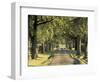 Tree-Lined Driveway, Bluegrass Region, Lexington, Kentucky, USA-Adam Jones-Framed Photographic Print