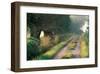 Tree-Lined Hollow Path-null-Framed Art Print