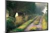 Tree-Lined Hollow Path-null-Mounted Art Print