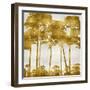 Tree Lined In Gold II-Kate Bennett-Framed Art Print