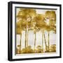 Tree Lined In Gold II-Kate Bennett-Framed Art Print