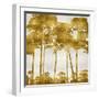 Tree Lined In Gold II-Kate Bennett-Framed Art Print