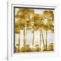 Tree Lined In Gold II-Kate Bennett-Framed Art Print