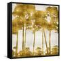 Tree Lined In Gold II-Kate Bennett-Framed Stretched Canvas