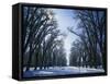 Tree Lined Promenade in Winter, Liberty Park, Salt Lake City, Utah, USA-Scott T. Smith-Framed Stretched Canvas