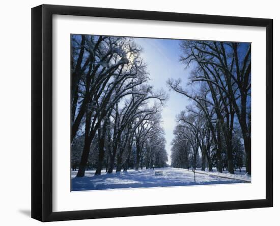 Tree Lined Promenade in Winter, Liberty Park, Salt Lake City, Utah, USA-Scott T. Smith-Framed Photographic Print