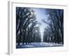 Tree Lined Promenade in Winter, Liberty Park, Salt Lake City, Utah, USA-Scott T. Smith-Framed Photographic Print