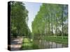 Tree Lined River Bank in Spring, Marais Poitevin, Deux Sevres Near Coulon, Poitou Charentes, France-Michael Busselle-Stretched Canvas