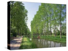 Tree Lined River Bank in Spring, Marais Poitevin, Deux Sevres Near Coulon, Poitou Charentes, France-Michael Busselle-Stretched Canvas