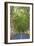 Tree Lined Road, Flacq, East Coast, Mauritius-Jon Arnold-Framed Photographic Print