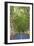 Tree Lined Road, Flacq, East Coast, Mauritius-Jon Arnold-Framed Photographic Print