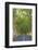 Tree Lined Road, Flacq, East Coast, Mauritius-Jon Arnold-Framed Photographic Print