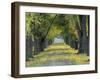 Tree-Lined Road in Autumn, Louisville, Kentucky, USA-Adam Jones-Framed Photographic Print