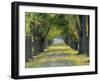 Tree-Lined Road in Autumn, Louisville, Kentucky, USA-Adam Jones-Framed Photographic Print