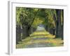 Tree-Lined Road in Autumn, Louisville, Kentucky, USA-Adam Jones-Framed Photographic Print