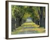 Tree-Lined Road in Autumn, Louisville, Kentucky, USA-Adam Jones-Framed Photographic Print