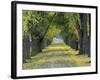 Tree-Lined Road in Autumn, Louisville, Kentucky, USA-Adam Jones-Framed Photographic Print