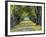 Tree-Lined Road in Autumn, Louisville, Kentucky, USA-Adam Jones-Framed Photographic Print