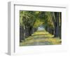 Tree-Lined Road in Autumn, Louisville, Kentucky, USA-Adam Jones-Framed Photographic Print