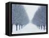 Tree-lined Road in Winter-Robert Llewellyn-Framed Stretched Canvas