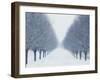 Tree-lined Road in Winter-Robert Llewellyn-Framed Premium Photographic Print