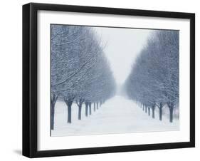 Tree-lined Road in Winter-Robert Llewellyn-Framed Premium Photographic Print