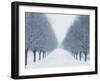 Tree-lined Road in Winter-Robert Llewellyn-Framed Premium Photographic Print