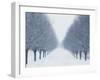 Tree-lined Road in Winter-Robert Llewellyn-Framed Premium Photographic Print