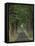 Tree-Lined Road, Louisville, Kentucky, USA-Adam Jones-Framed Stretched Canvas