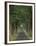 Tree-Lined Road, Louisville, Kentucky, USA-Adam Jones-Framed Premium Photographic Print