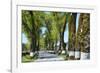 Tree lined road, Marvao, Portugal-Mauricio Abreu-Framed Photographic Print