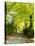 Tree Lined Road with Bright Green Trees-Terry Eggers-Stretched Canvas