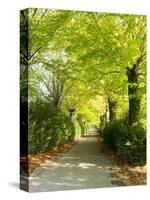 Tree Lined Road with Bright Green Trees-Terry Eggers-Stretched Canvas