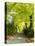 Tree Lined Road with Bright Green Trees-Terry Eggers-Stretched Canvas