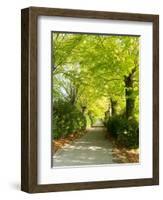 Tree Lined Road with Bright Green Trees-Terry Eggers-Framed Photographic Print