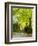 Tree Lined Road with Bright Green Trees-Terry Eggers-Framed Photographic Print