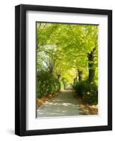 Tree Lined Road with Bright Green Trees-Terry Eggers-Framed Photographic Print